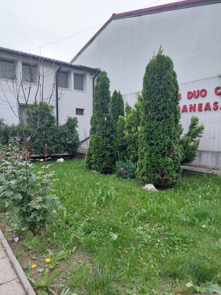 Baneasa, Bucuresti, sector 1.